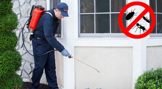 Beşikdüzü Bit İlaçlama böcek ilaçlama ve haşere kontrolü — ilaclama-tr.com